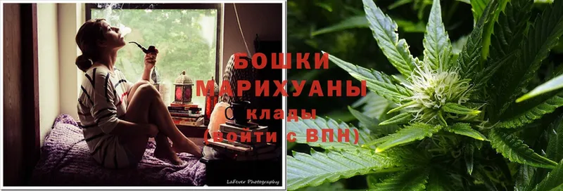 Канабис Bruce Banner  продажа наркотиков  Кашин 